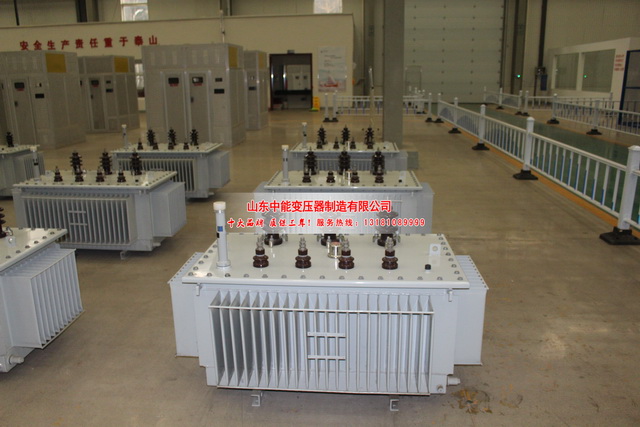堆龙德庆S20变压器